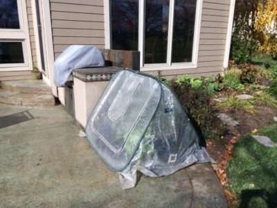 Quick Tip: Preparing Your Potted Garden for a Hard Freeze Image